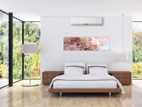 Obraz - Piwonie (170x50 cm)