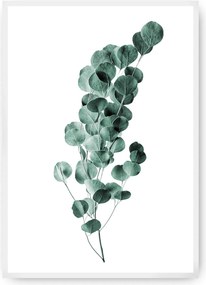 Plakat Eucalyptus Emerald Green