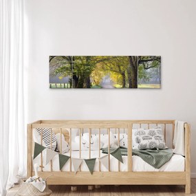 Zdjęcie - Smoky Mountains, Gatlinburg, USA (170x50 cm)