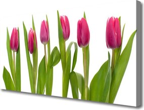 Obraz canvas Wiosenny Bukiet Tulipanów