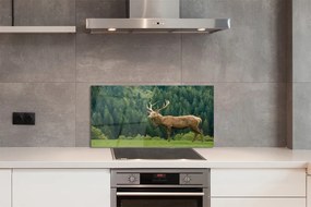 Panel nad Blat Kuchenny Jeleń na Otwartym Polu
