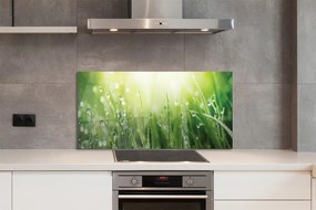 Szklany Panel Krople Rosy w Słońcu