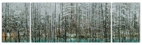 Obraz - Turkusowy staw, Biei, Japonia (170x50 cm)