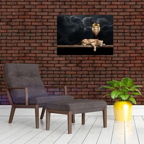 Obraz na szkle - Lew i lwica w chmurach (70x50 cm)