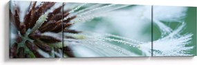 Obraz - Detal kwiatu (170x50 cm)