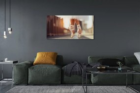 Obraz na płótnie Białe Baletki i Nogi