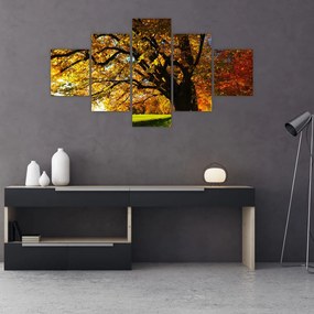Obraz jesiennego drzewa (125x70 cm)