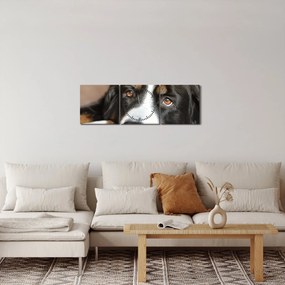 Obraz psa (z zegarem) (90x30 cm)