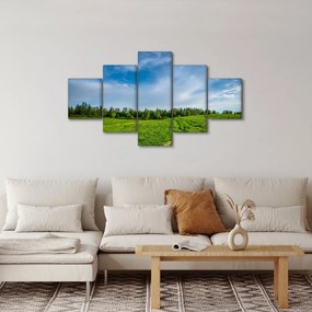 Obraz łąki (125x70 cm)