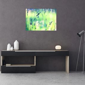 Obraz - Szczegół łąki (70x50 cm)
