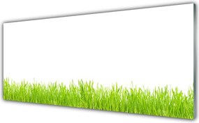 Szkło Ozdobne do Kuchni Soczysty Naturalny Trawnik