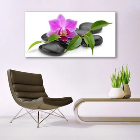 Obraz canvas Orchidea w Nowoczesnym Wydaniu