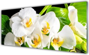 Panel Szklany Królewska Orchidea w Rozkwicie