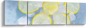 Obraz cytryn w lodzie (170x50 cm)