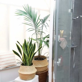 Compactor Koszyk do przechowywania z trawy morskiej Belly, 35 x 32 cm, naturalny, M