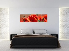 Obraz maków (170x50 cm)