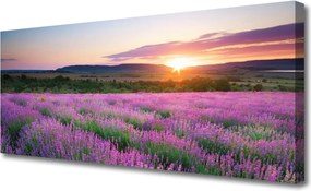 Obraz canvas Lawendowy Zmierzch na Polu