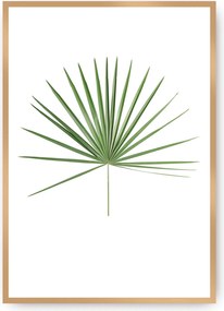 Plakat Tropical Leaf Green