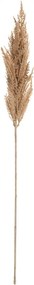 Gałązka Trawy Pampasowej 90cm beige