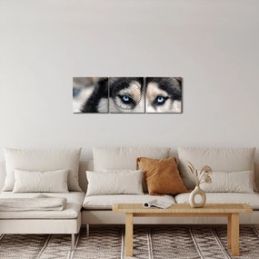 Obraz psa husky (z zegarem) (90x30 cm)