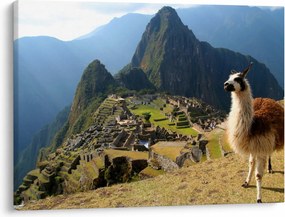 Obraz - Lama i Machu Picchu (70x50 cm)