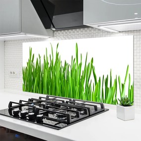Panel Kuchenny Szum Traw Na Wietrze