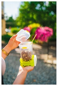 Zielony pojemnik na przekąskę i obiad ze sztućcami, Vialli Design, 650ml+230m