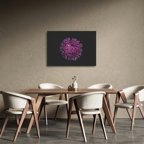 Obraz na szkle - fioletowy kwiat (70x50 cm)