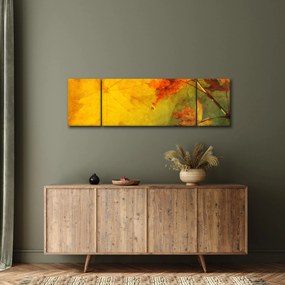 Obraz - Jesienne liście (170x50 cm)