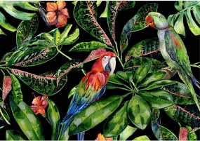 Obraz na płótnie Tropical Birds