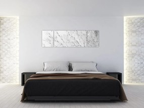 Obraz - Trawa pampasowa N⁰2 (170x50 cm)