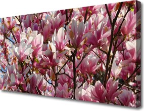 Obraz drukowany na płótnie Kwitnące Gałązki Drzewa