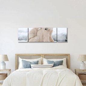Obraz - Niedźwiedzie polarne (170x50 cm)