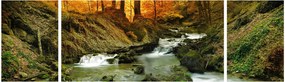 Obraz - Las (170x50 cm)