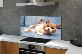Panel szklany do Kuchni Spokojny Odpoczynek Kota