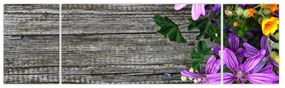 Obraz - kwiaty polne (170x50 cm)