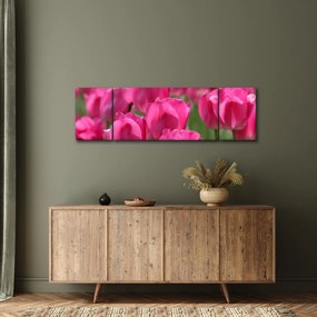 Obraz - Różowe tulipany (170x50 cm)