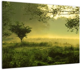 Obraz - Budzący się las (70x50 cm)