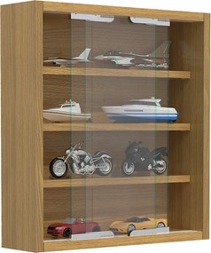 Wiszący wyświetlacz ścienny szafki szklanej Agisa S