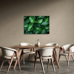 Obraz na szkle - Zielone liście (70x50 cm)