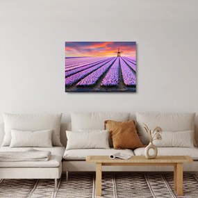 Obraz na szkle - farma kwiatów (70x50 cm)
