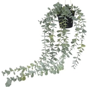 Sztuczna roślina wisząca BLUSZCZ, 56 cm