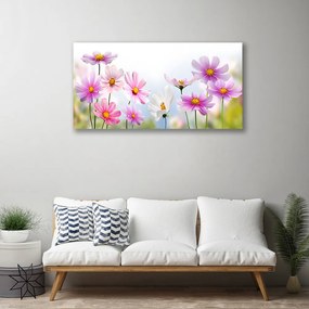 Obraz canvas Wiosenna Łąka na Płótnie