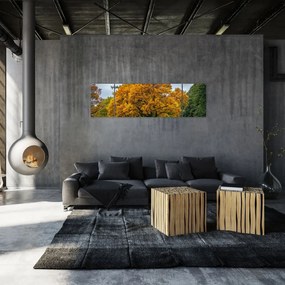 Obraz drzewa (170x50 cm)
