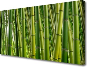 Obraz canvas Gęstwina Zielonego Bambusa