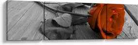 Obraz - Pomarańczowa róża (170x50 cm)