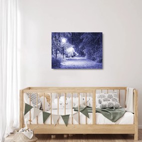 Obraz na szkle - Magiczna zimowa noc (70x50 cm)