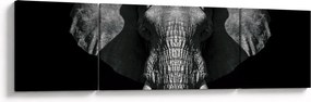 Obraz - Słoń na czarnym tle (170x50 cm)