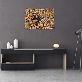 Obraz na szkle - rozgwiazda (70x50 cm)