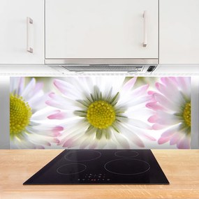 Panel nad blat kuchenny Biała Stokrotka Na Polanie